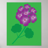 Geranium Bloemen Poster (Voorkant)