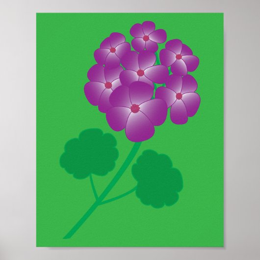 Geranium Bloemen Poster (Voorkant)