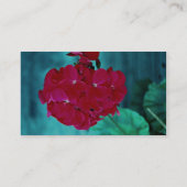 Geranium bloom head, Whitby, Ontario, Canada Visitekaartje (Achterkant)