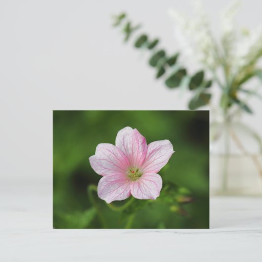 Geranium Briefkaart (Staand voorkant)