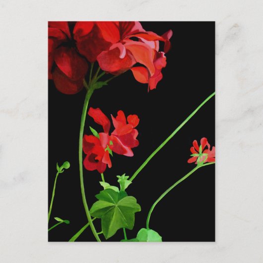 Geranium Briefkaart (Voorkant)