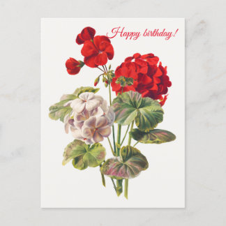Geranium   briefkaart
