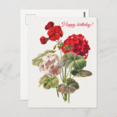 Geranium Briefkaart (Voorkant / Achterkant)