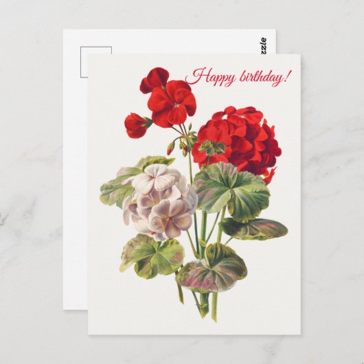 Geranium Briefkaart (Voorkant / Achterkant)