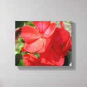 Geranium Canvas Afdruk (Voorkant)