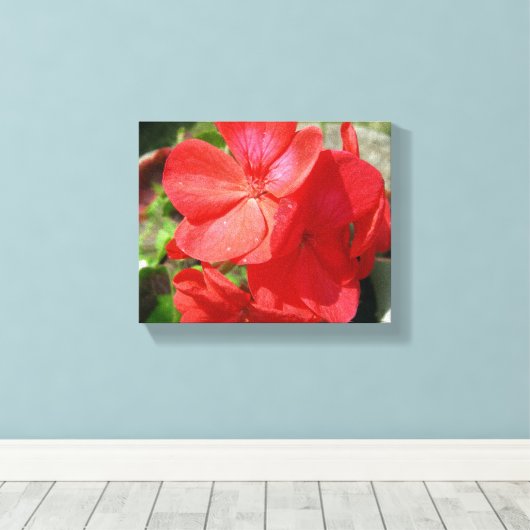 Geranium Canvas Afdruk (Insitu (Houten vloer))