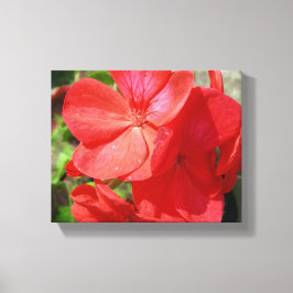 Geranium Canvas Afdruk