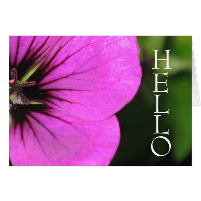 Geranium Card (Voorkant Horizontaal)