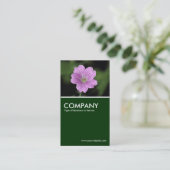 Geranium Endressii - Donkergroen Visitekaartje (Staand voorkant)