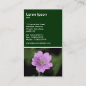 Geranium Endressii - Donkergroen Visitekaartje (Achterkant)