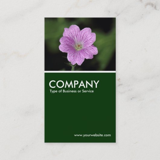 Geranium Endressii - Donkergroen Visitekaartje (Voorkant)