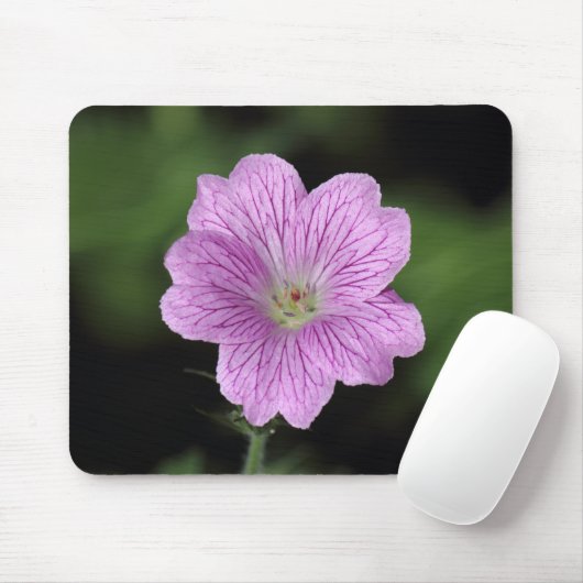 Geranium Endressii Muismat (Met muis)