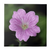 Geranium Endressii Tegeltje (Voorkant)