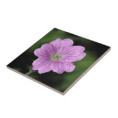 Geranium Endressii Tegeltje (Zijkant)