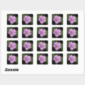 Geranium Endressii Vierkante Sticker (Vel)