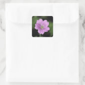 Geranium Endressii Vierkante Sticker (Tas)