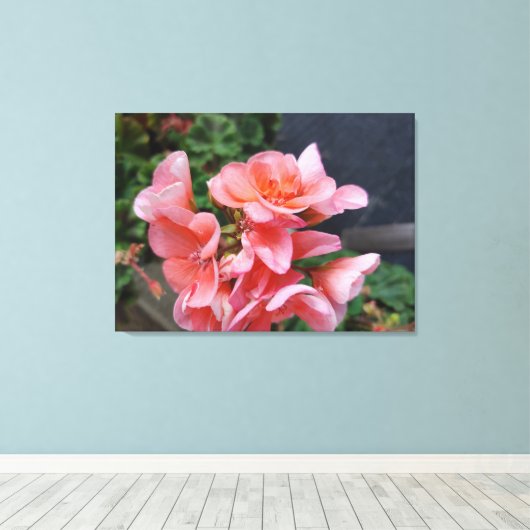Geranium Garden Flower Canvas Print (Insitu (Houten vloer))