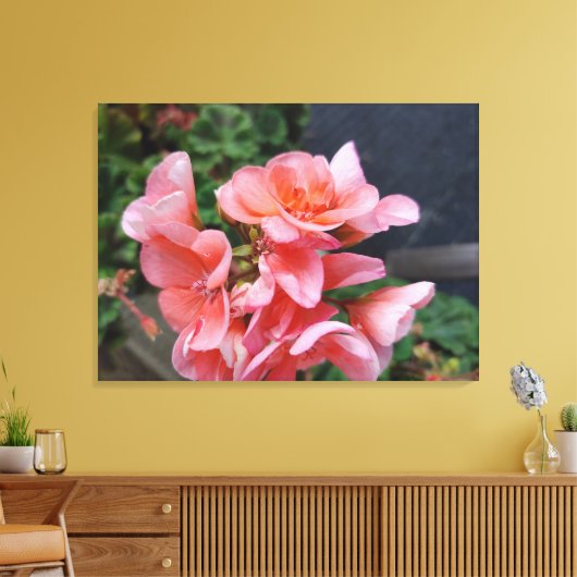 Geranium Garden Flower Canvas Print (Insitu (Woonkamer))