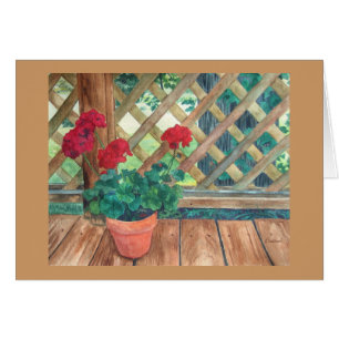 Geranium (Gardener's)