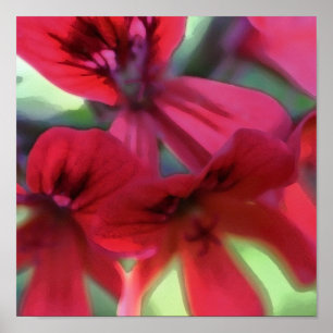 Geranium, geslepen poster