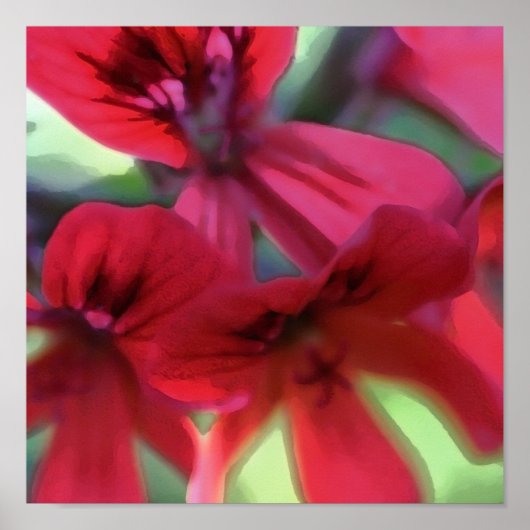 Geranium, geslepen poster (Voorkant)