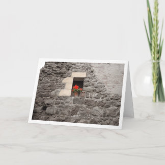 Geranium in Venster Kaart