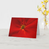 Geranium Kaart (Gele Bloem)