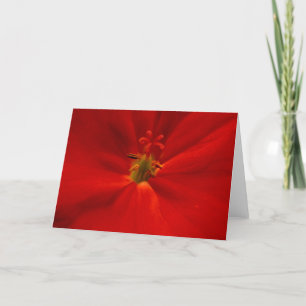 Geranium Kaart