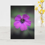 Geranium, kaart (Gele Bloem)