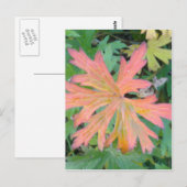 Geranium Leaf Briefkaart (Voorkant / Achterkant)