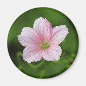 Geranium Magneet (Voorkant)