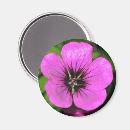 Geranium Magnet (Voorkant / Achterkant)