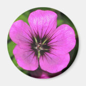 Geranium Magnet (Voorkant)