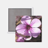 Geranium Magnet (Voorkant / Achterkant)
