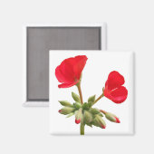 Geranium Magnet (Voorkant / Achterkant)