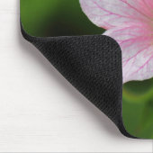 Geranium Muismat (Hoek)