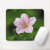 Geranium Muismat (Met muis)