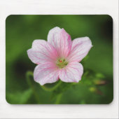 Geranium Muismat (Voorkant)