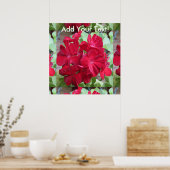 Geranium Plant Red Floral Poster (Keuken)