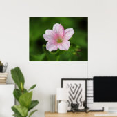 Geranium Poster (Thuiskantoor)