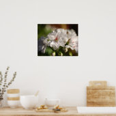 Geranium Poster (Keuken)