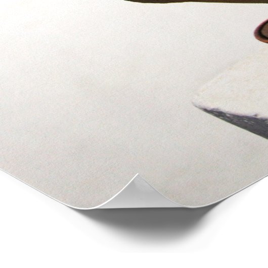 Geranium Poster (Hoek)