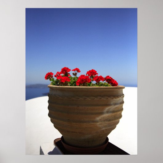 Geranium Poster (Voorkant)