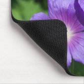 Geranium pratense muismat (Hoek)