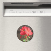 Geranium Red Magneet (Insitu (Vaatwasser))