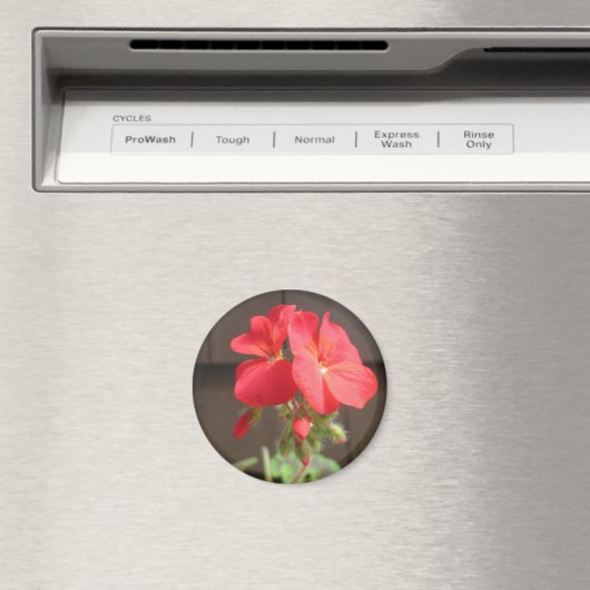 Geranium Red Magneet (Insitu (Vaatwasser))