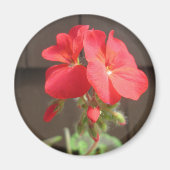 Geranium Red Magneet (Voorkant)