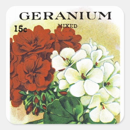 Geranium Seed Packet Label (Voorkant)