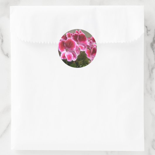 Geranium stickers (Tas)