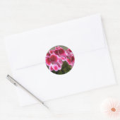 Geranium stickers (Envelop)